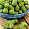 Kiwi Issai Autofertil
