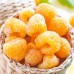 Zmeur Galben Golden Bliss - Arbusti fructiferi - AgroDenmar.ro