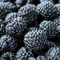 Zmeur negru Bristol