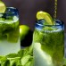Menta - Mojito Mint - Plante aromatice - AgroDenmar.ro Menta - Mojito Mint - Plante aromatice - AgroDenmar.ro