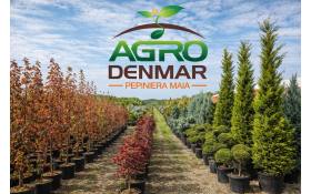 A început sezonul plantărilor