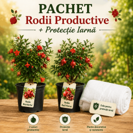 Pachet Rodii Productive + protectie iarna