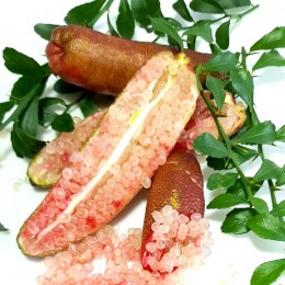 Lamai Caviar Pink - Citrus australasica - Arbusti fructiferi - AgroDenmar.ro