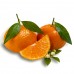 Mandarin - Plante exotice - AgroDenmar.ro