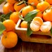 Mandarin - Plante exotice - AgroDenmar.ro