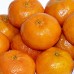 Mandarin - Plante exotice - AgroDenmar.ro