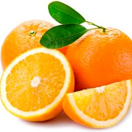 Portocal Washington Navel - Plante exotice - AgroDenmar.ro