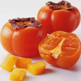 Kaki Muscat