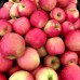 Mar Pink Lady la ghiveci - Pomi fructiferi - AgroDenmar.ro