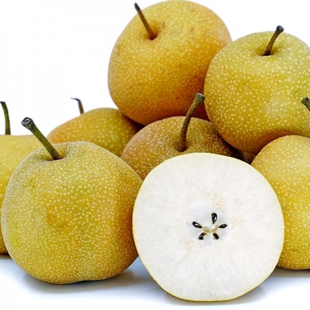 Par Japonez - Nashi Kosui - pe rod - Pomi fructiferi - AgroDenmar.ro