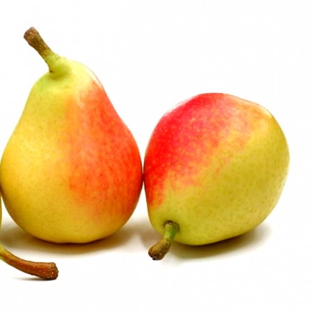 Par Santa Maria - Pomi fructiferi - AgroDenmar.ro