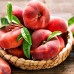 Piersic plat Remeny - Pomi fructiferi - AgroDenmar.ro