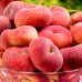 Piersic plat Sugar Baby - Pomi fructiferi - AgroDenmar.ro