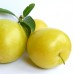 Prun japonez Shiro - ghiveci - Pomi fructiferi - AgroDenmar.ro