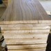 Paulownia Shantong 4 - Butas Lemnificat - Arbori paulownia - AgroDenmar.ro