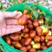 Curmal chinezesc Lang - Arbusti fructiferi - AgroDenmar.ro