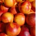 Nectarin Pitic - Pomi fructiferi - AgroDenmar.ro