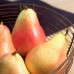 Par Bicolor (galben rosiatic) - Pomi fructiferi - AgroDenmar.ro