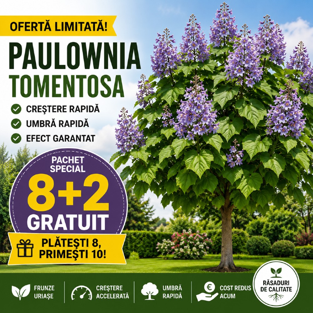 LIVRĂRI DEDICATE ÎN ZONELE LIMITROFE