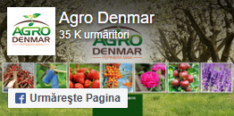 Pepiniera Maia Agro Denmar